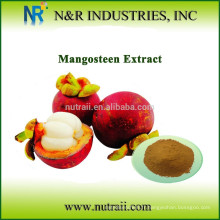 Poudre de mangue 100% naturelle pour boisson